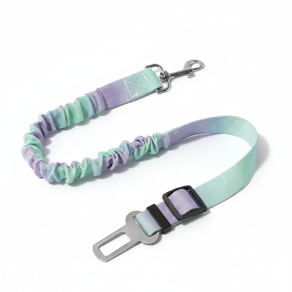 Serenity's Safety Seat Belts