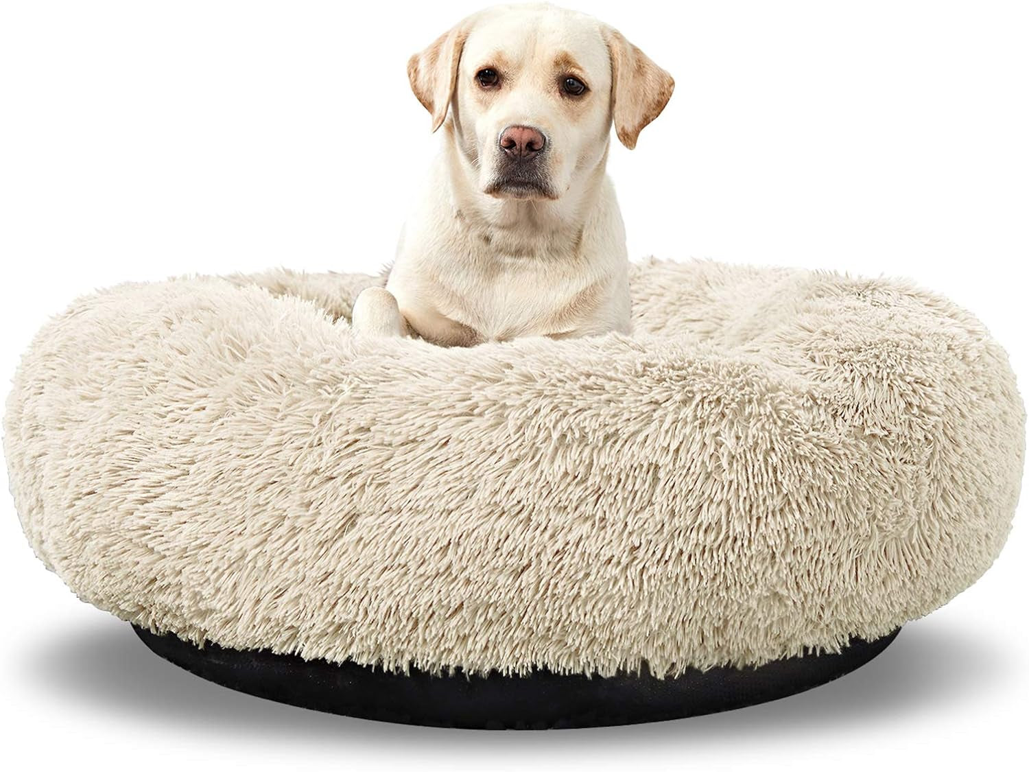 Donut Haven Bed