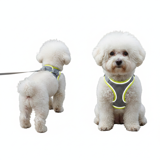 Serenity's Harness & Tow Rope