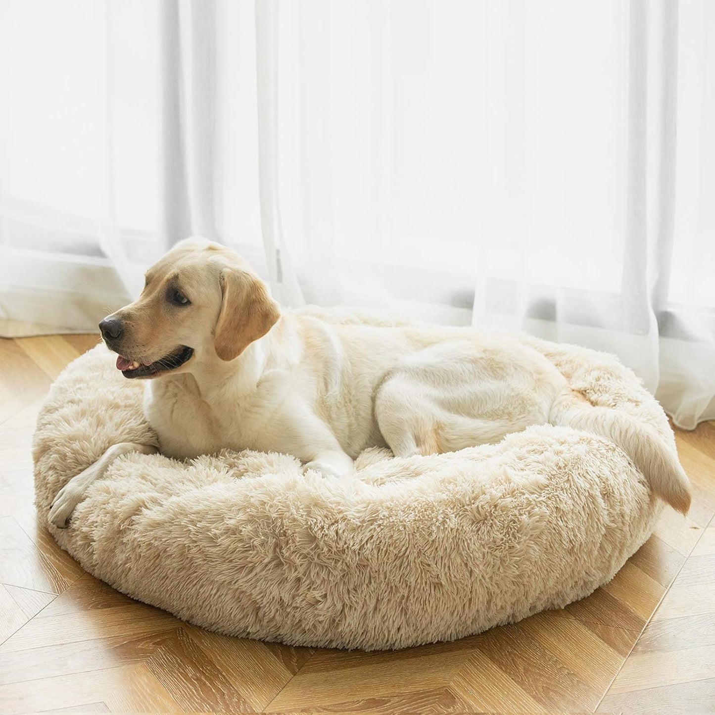 Donut Haven Bed