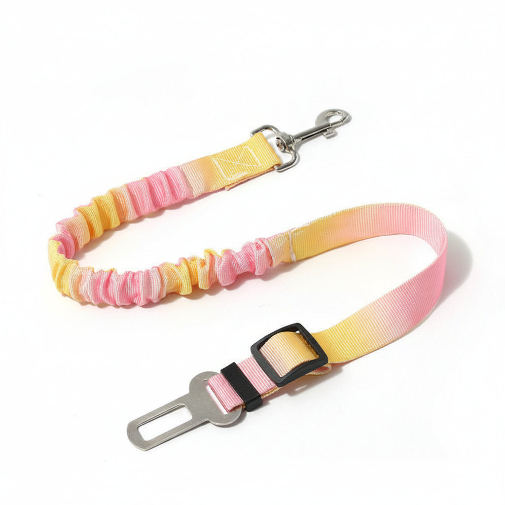 Serenity's Safety Seat Belts