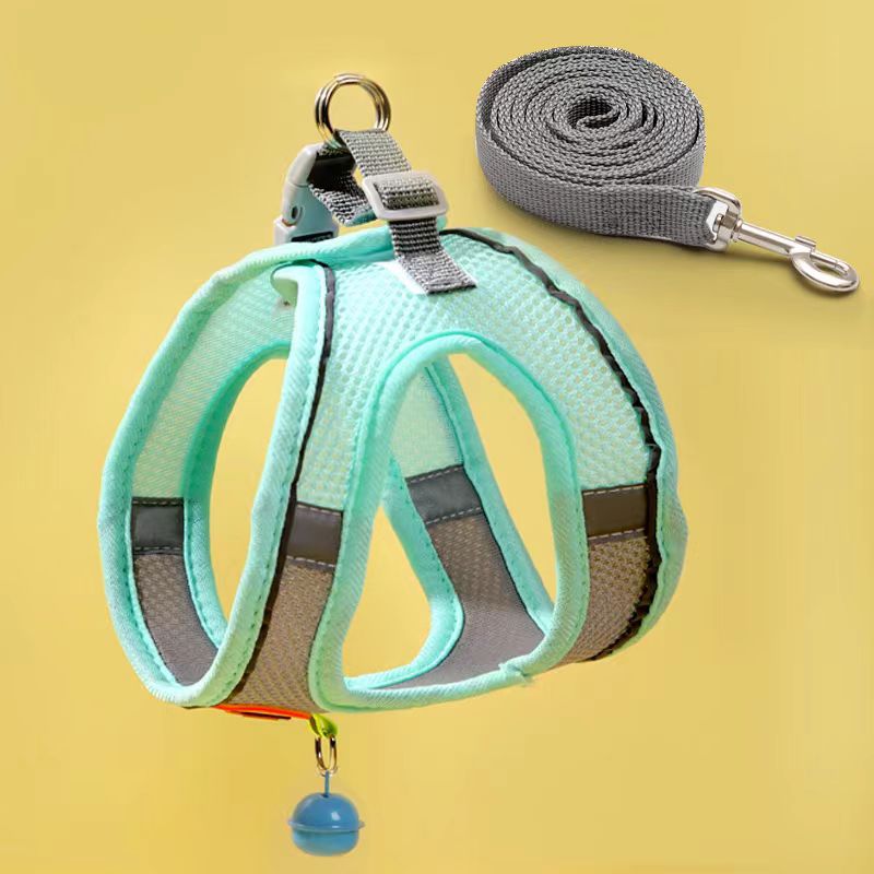 Serenity's Harness & Tow Rope