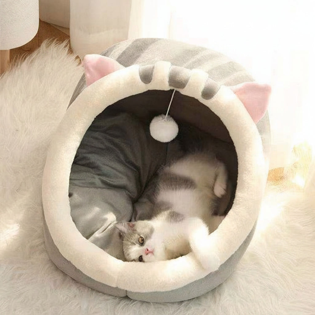 Serenity's Cat Haven
