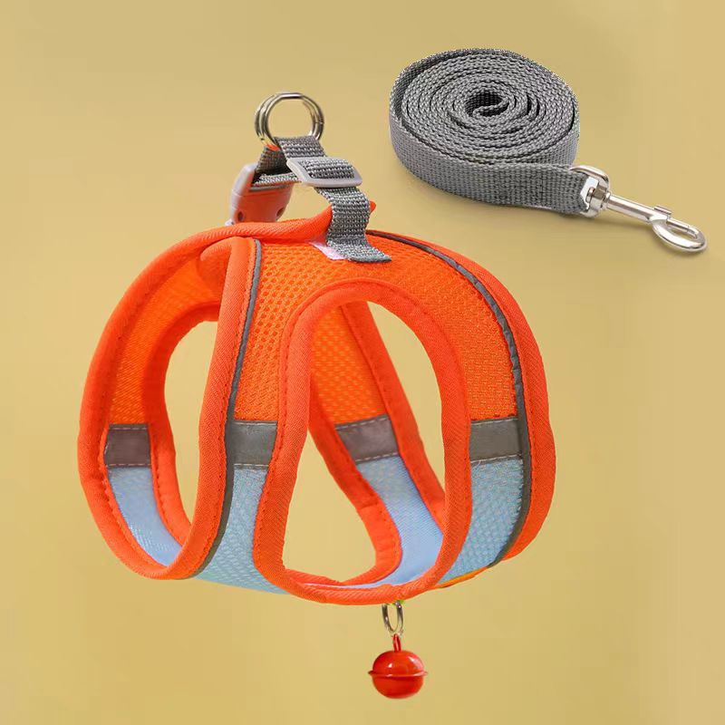 Serenity's Harness & Tow Rope