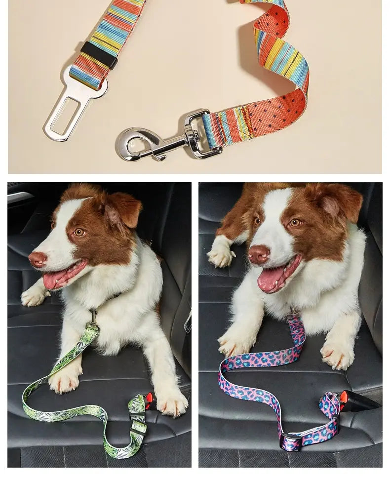 Serenity's Safety Seat Belts