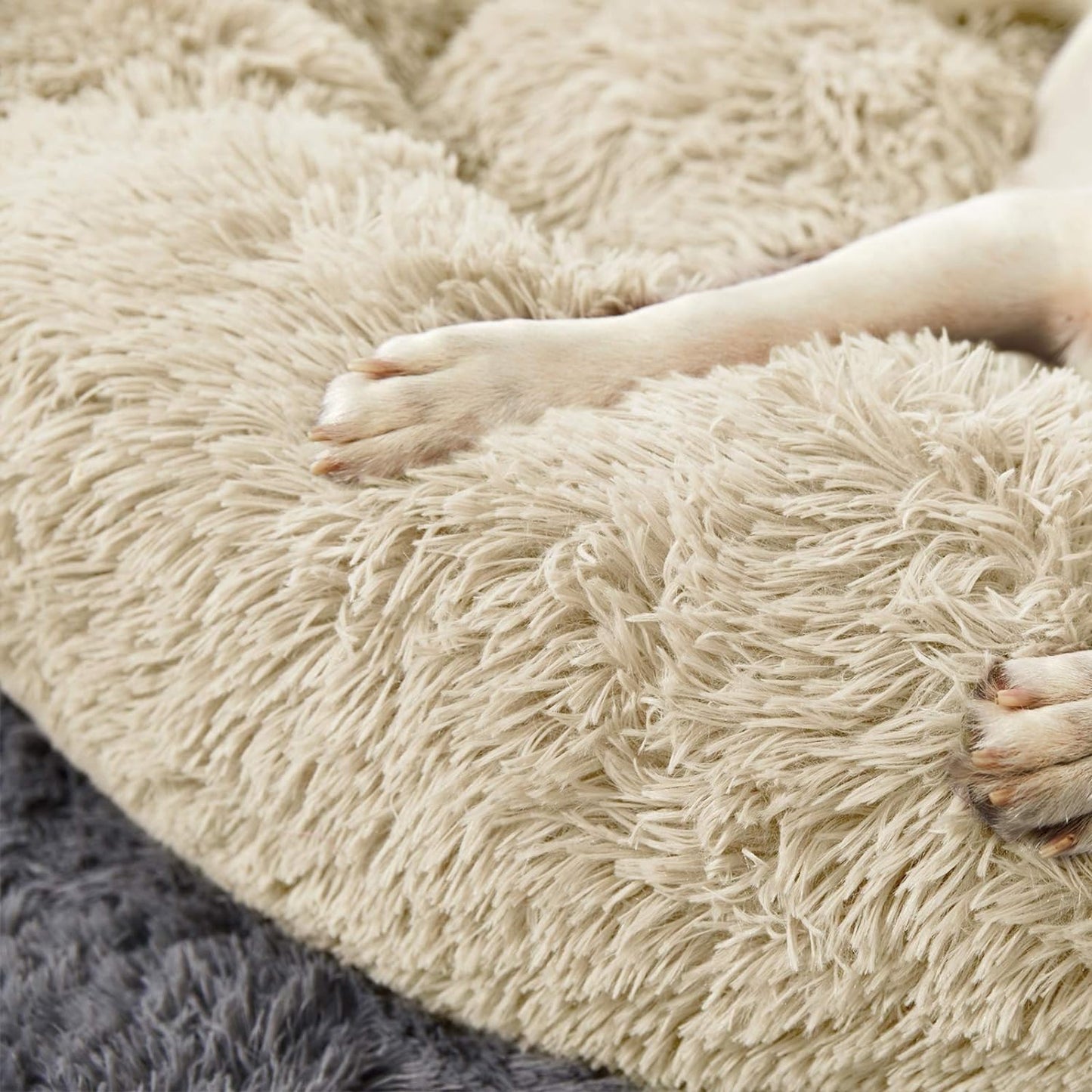 Donut Haven Bed