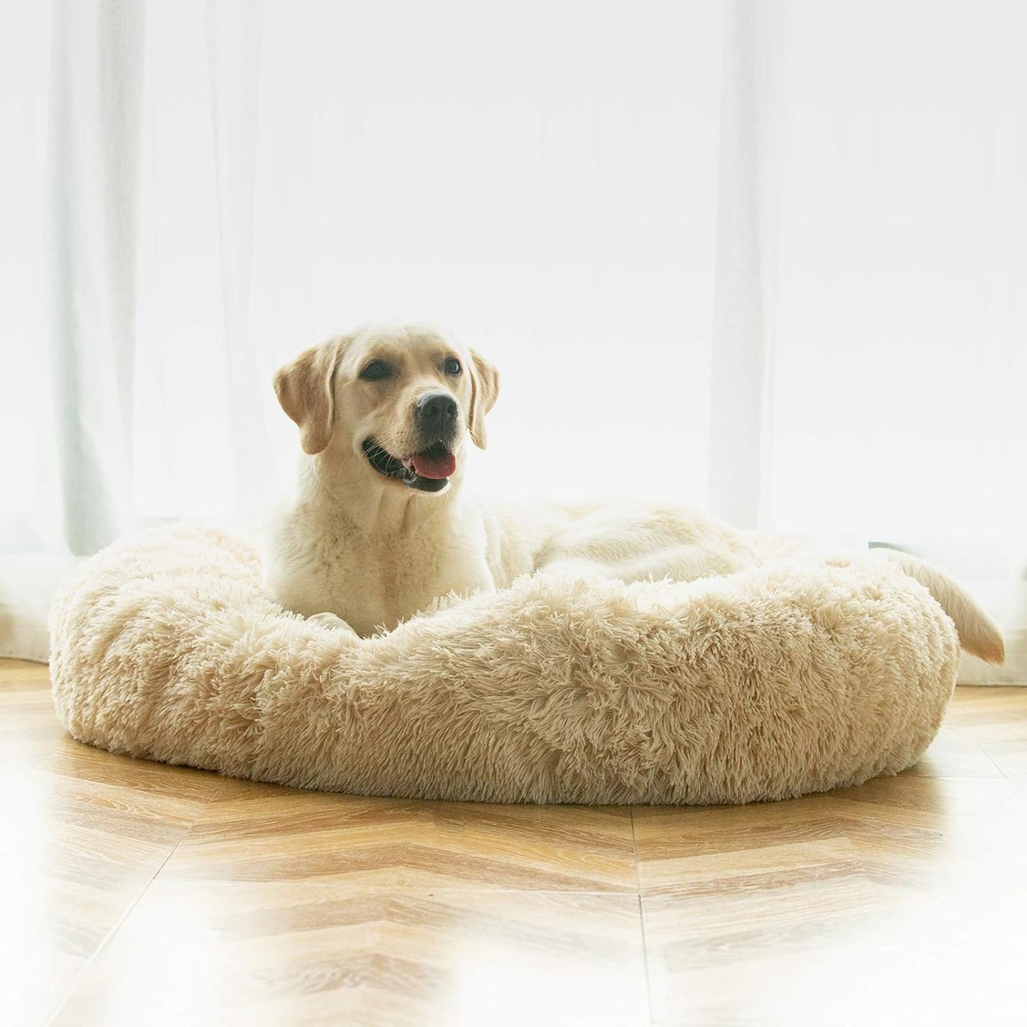 Donut Haven Bed